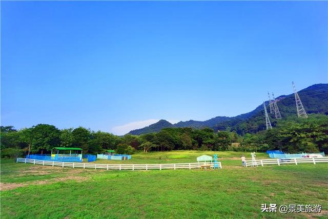 国庆首日三水迎客！花海与矿湖引爆南山旅游热