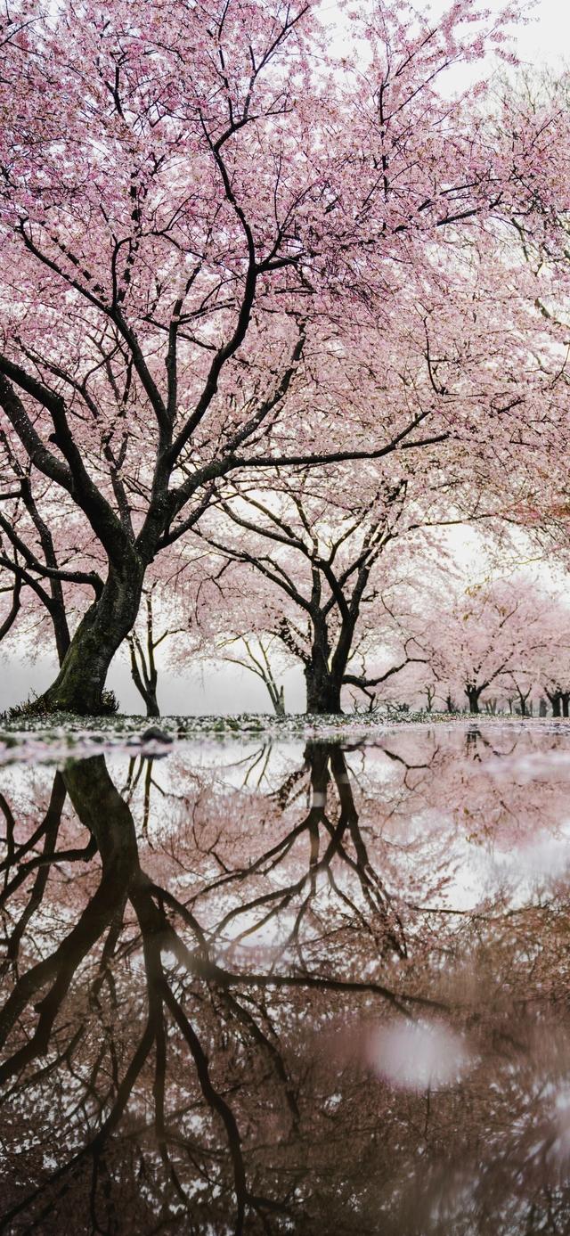 手机壁纸|iOS自然风光美景