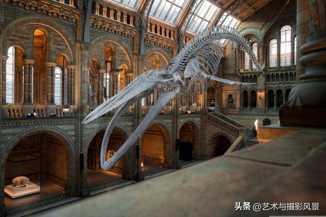 加拿大有哪些热门旅游景点？