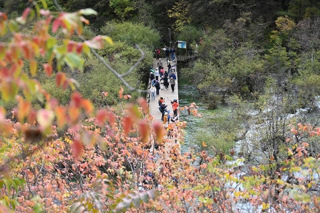 九寨沟彩林季迎“井喷式”客流 九绵高速助力自驾热