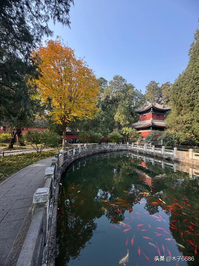 【京城寺记】香山卧佛寺