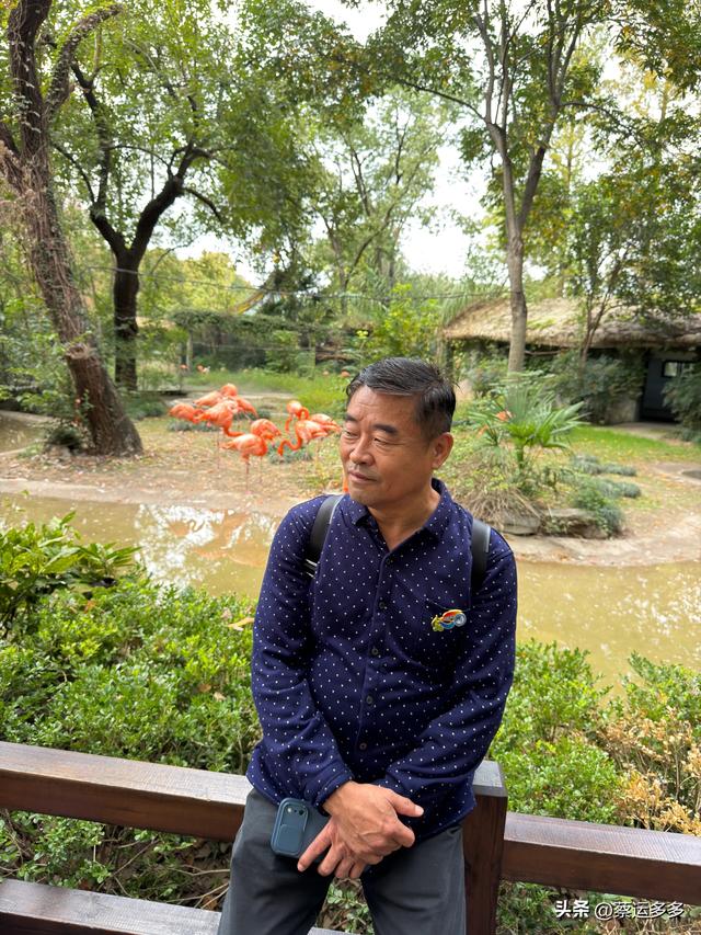 上海动物园的高颜值图鉴