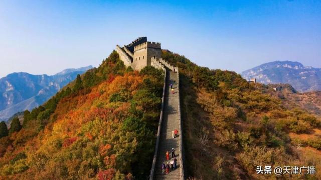 直击 | 多图预警！太好玩了！