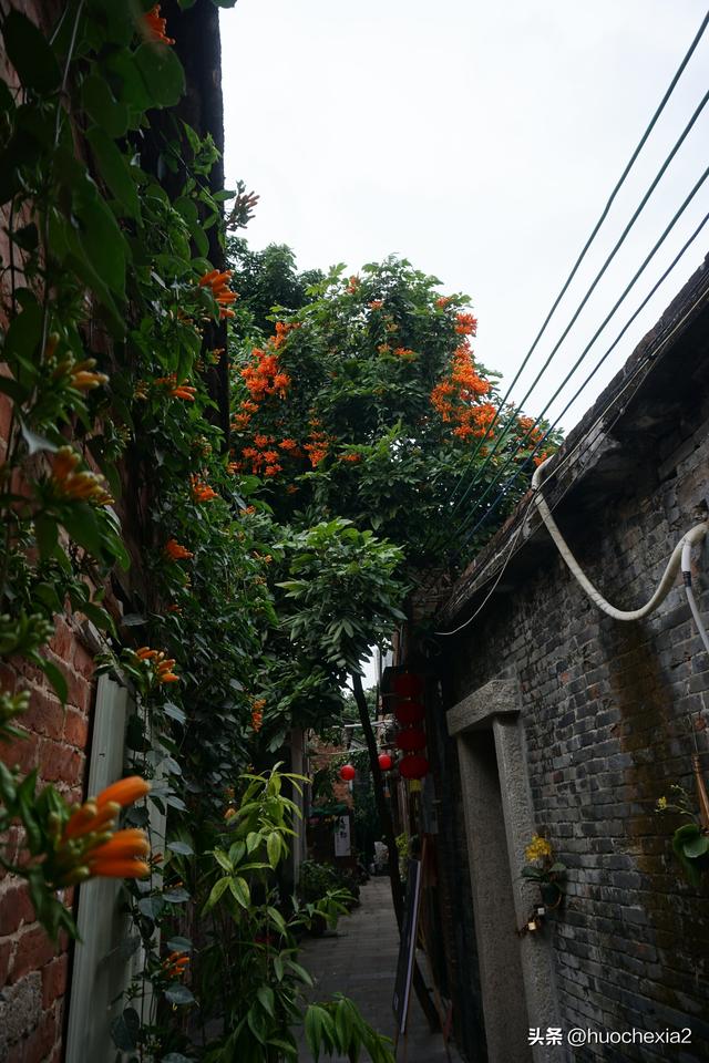 佛山真好逛——大墩村阿志茶空间
