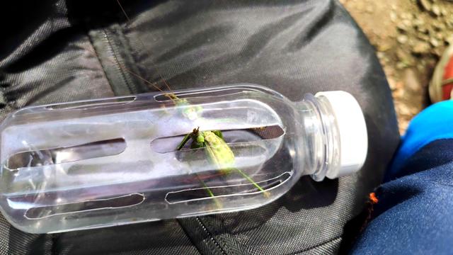 探秘西北梁：一场藏在封龙山余脉里的秋日驴行