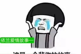 依兰爱情故事（东北话翻译帮你读懂其中的悲伤与绝望）图片