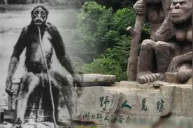 女子与野人杂交后代？神农架“猴娃”曾繁胜，为何被专家视为珍宝图片