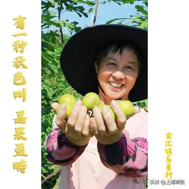 秋分至，奉贤的秋天仪式感拿捏住了！