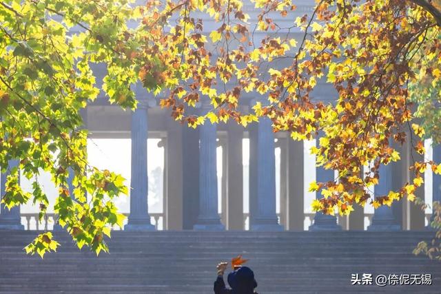 无锡这个免费大公园，又火了！