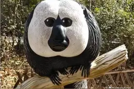 南京亲子游必去景点，红山动物园详细游玩攻略，南京网红打卡景点图片