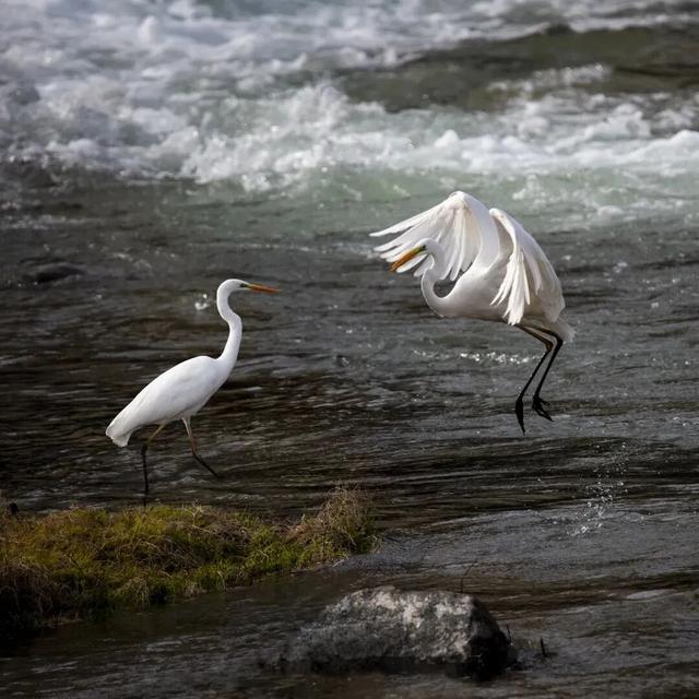 两当冬韵， “氧”心秘境