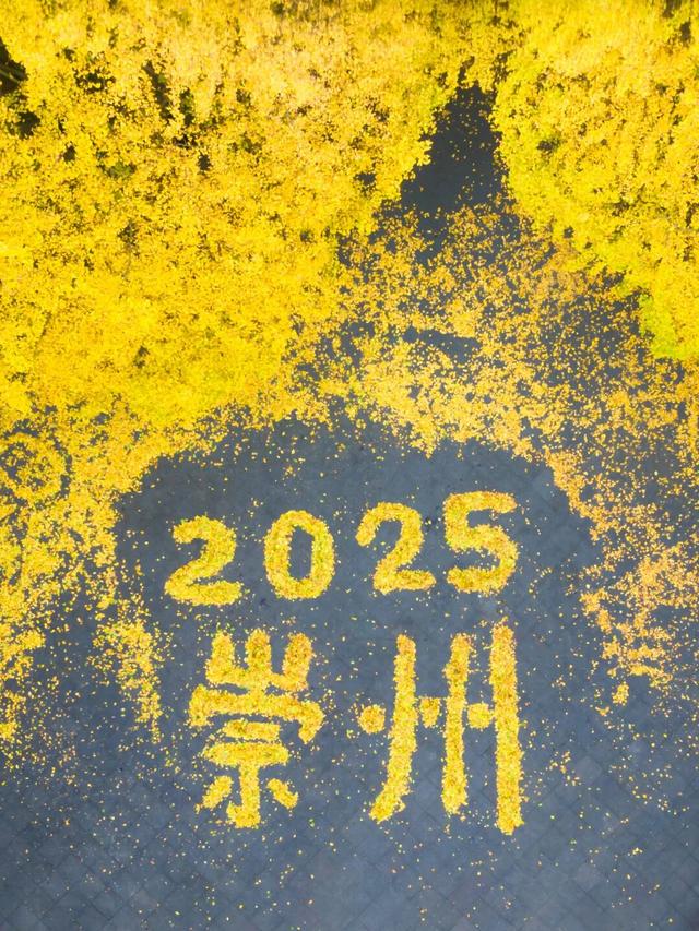 还起什么标题，美不美你们直接看！