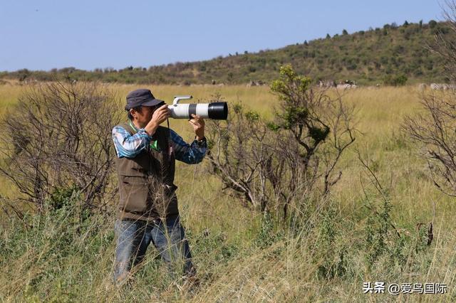 高像素+超长焦+高速连拍：佳能EOS R5II+RF200-800探秘东非动物
