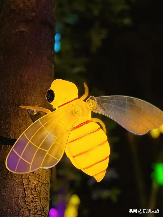世博园大型灯展!最新剧透来啦