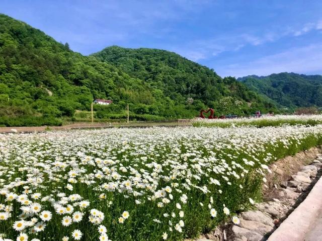 浪浪山外有佛坪,吹过的风都带着自在