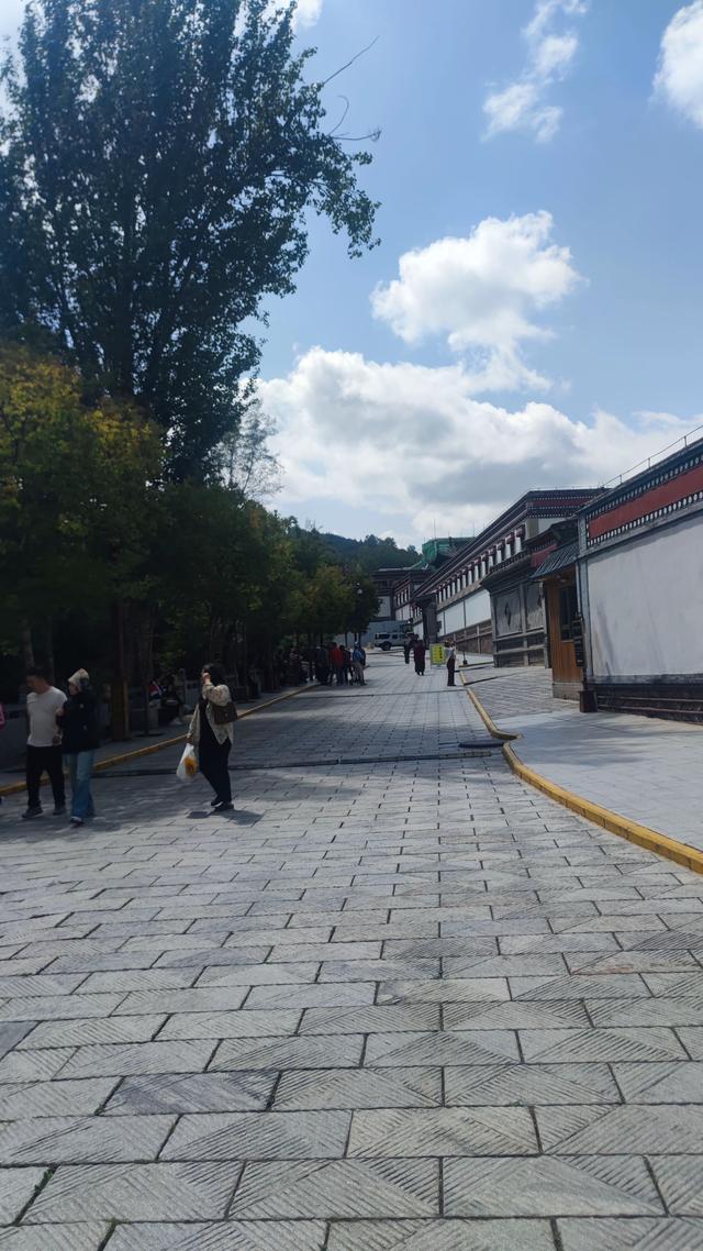 藏传佛教格鲁派四大寺院之一，西宁塔尔寺，碰巧免费进去了