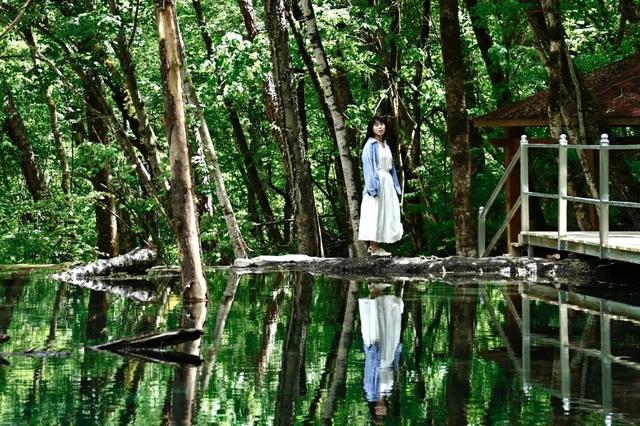 这个夏天，你与19℃的松坪沟只差一个出发！