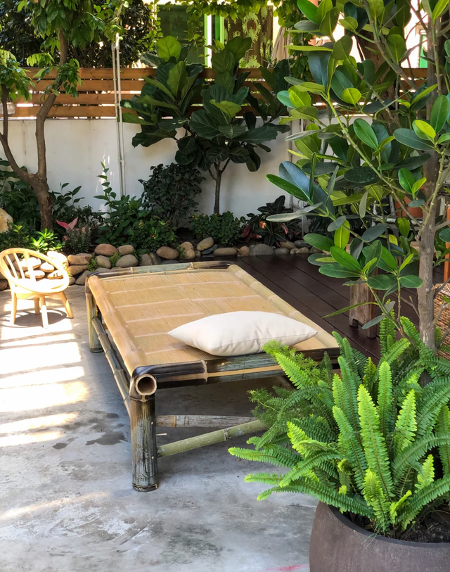 这才是我们小时候的院子，可惜99%的人已经没有了