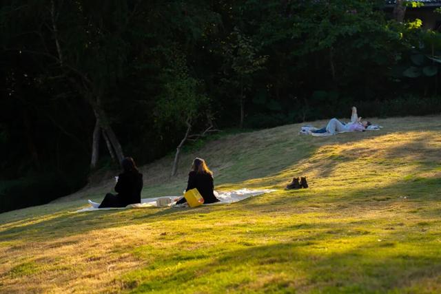就现在，一起去南山公园遛弯~