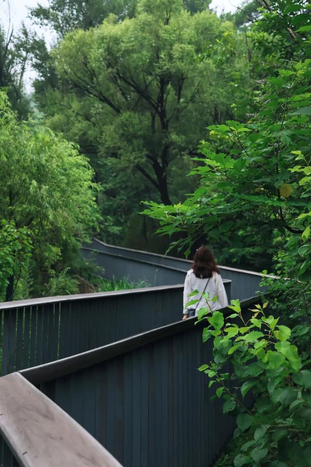 京西有惊喜 一起过暑期｜石景山区四大版块活动承包你的夏日快乐