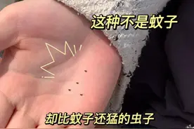 卫生间里这种“小黑虫”，千万别用手拍，学会妙招，黑虫自动消失图片