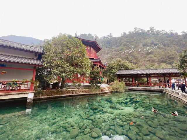 现在这个阶段，建议大家不要出国旅游，毕竟国内旅游更需要支持！