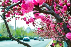 好消息！呼和浩特推出5折乘坐公交地铁活动！详情速戳→图片