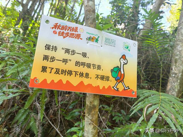 穿越万绿湖大型徒步