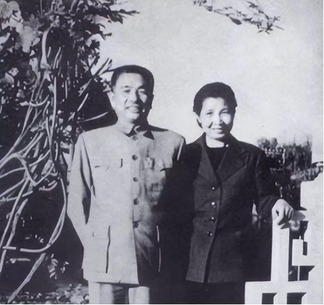 1966年，陶铸调任中央宣传部部长，曾志当场大惊：你胜任不了！
