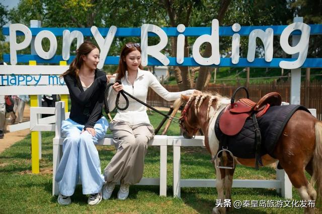 秦皇岛渔田七里海度假区暑假首刷必看！全天游玩攻略已备好，放心冲！