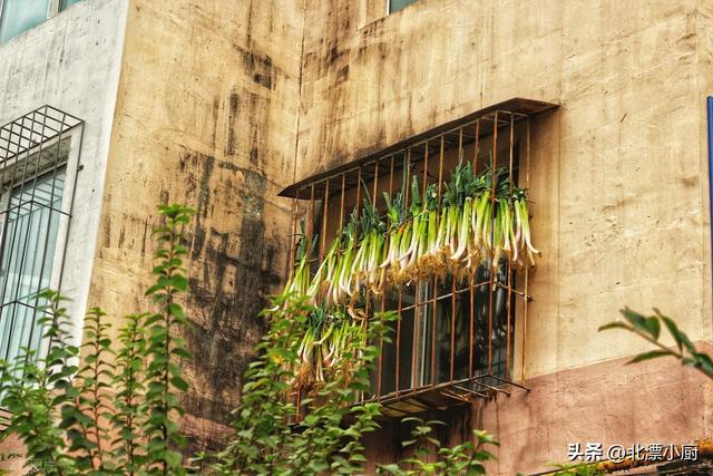 保存大葱时	，别直接放地上，教你三个土方法，保存三个月都还新鲜