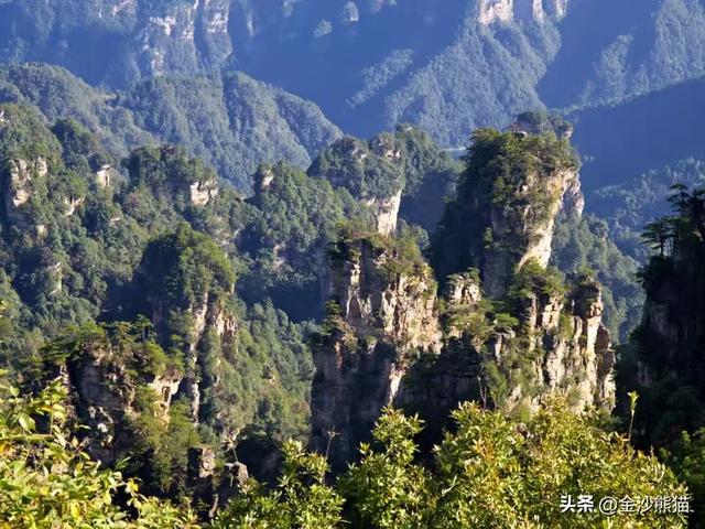 镜头中的山水：寻梦张家界 醉心山水间