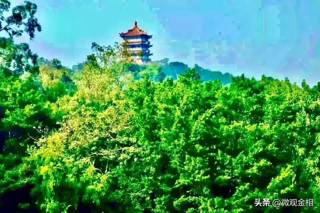 一年四季都可以去打卡的城市绿州麓湖