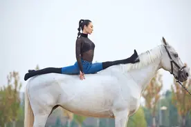 和马相关的字，看你认识多少图片