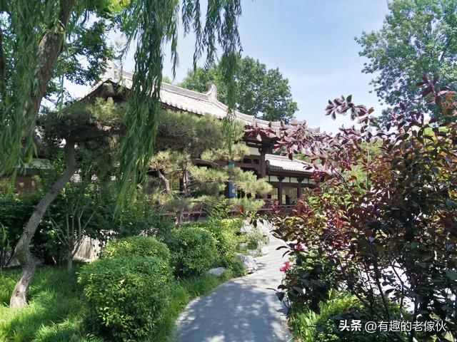 一边走一边游走呀走游呀游从东北去南方暧和着去。