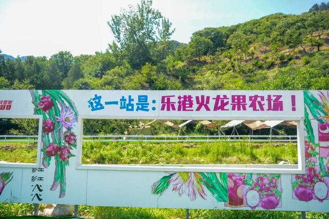 济南1h直达！西营周末新玩法：山野咖啡×秘境茶香，秒变文艺片主角！