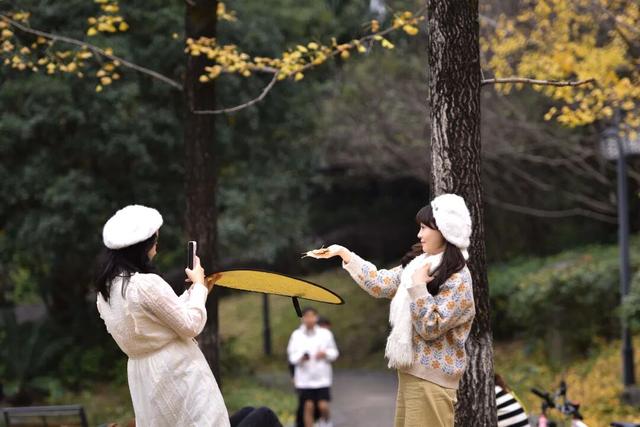 周末，和桐梓来场约会~