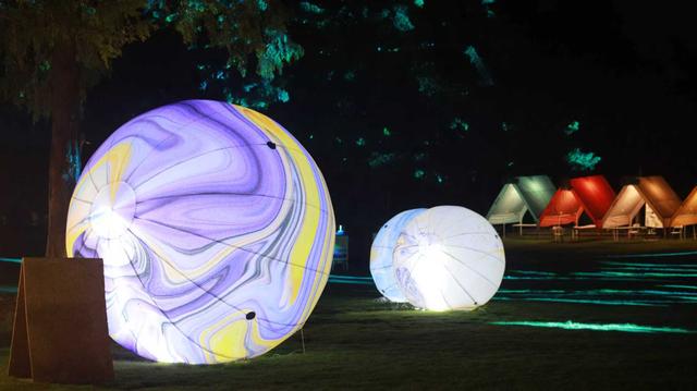 变色花海、星空音乐会、文艺表演，国庆假期昼夜畅游武汉植物园​