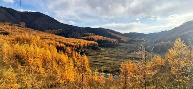 兰仓秋，染山河。