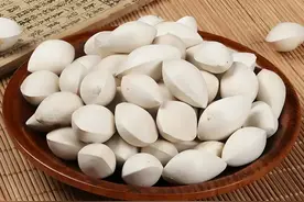 每日学一味中药—白果图片