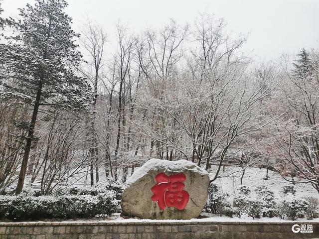 雪后崂山上演冬日浪漫