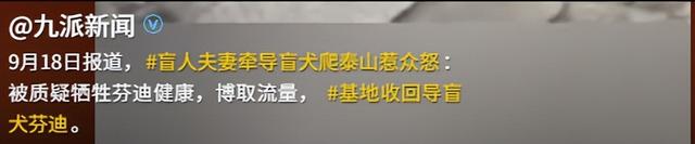 带导盲犬爬泰山的夫妻被网友批评，导盲犬芬迪看着非常累