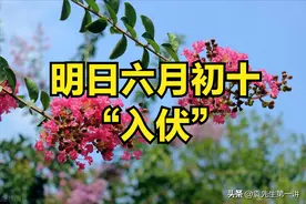 “三伏热不热，就看入伏日”，明日六月初十入伏，今夏三伏热到哭图片