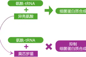 关于莫匹罗星软膏，你应该知道这5点！图片