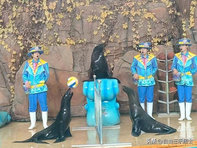 常州中华恐龙园游记