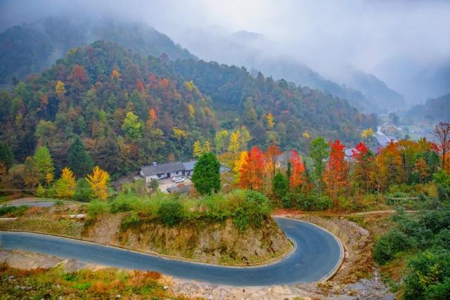 接下来的一个月，来汉中赏红叶就对了