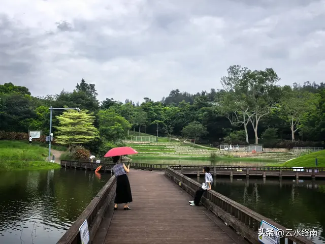 一个五A级植物园，到底藏着哪些值得看的地方，这是最实在的攻略