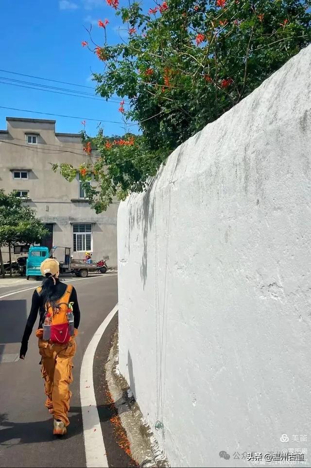 秋风起，浙江这条绝美海岛风光徒步穿越线路，可以安排了！