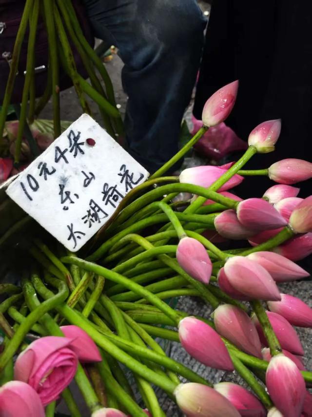 苏州这个市集，火上了央视！