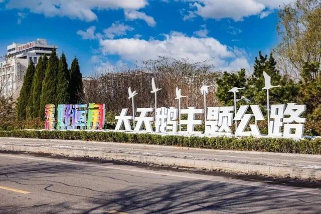 山东变身“候鸟天堂”，点击Get冬日限定浪漫